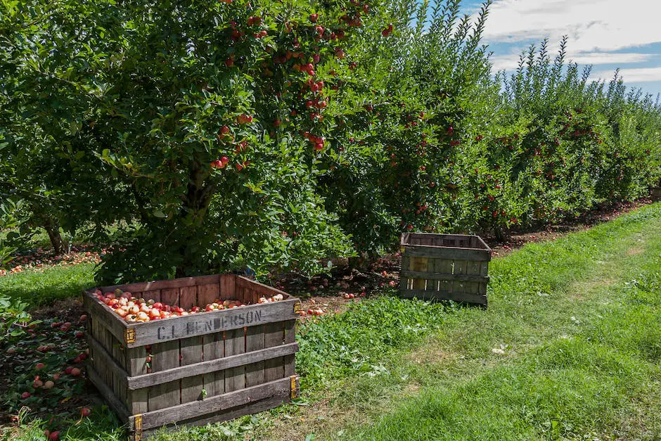 Image of a cider mill with lots of apple trees surrounding it