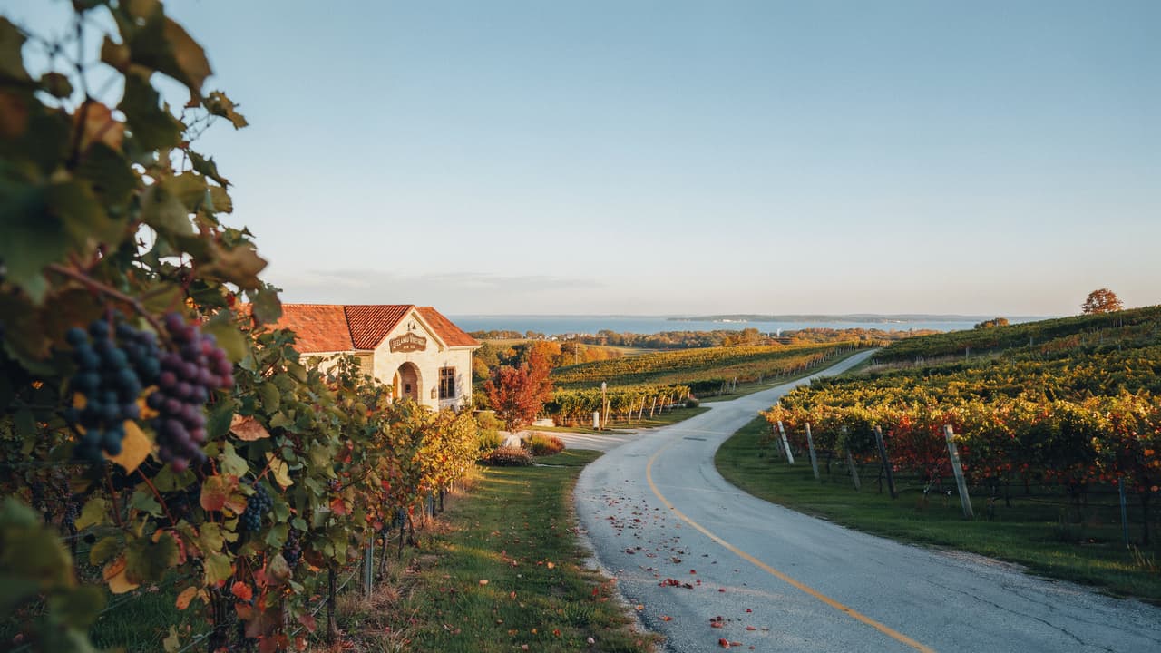 image of scenic drive in michigan overlooking winery, vineyards, and bluffs