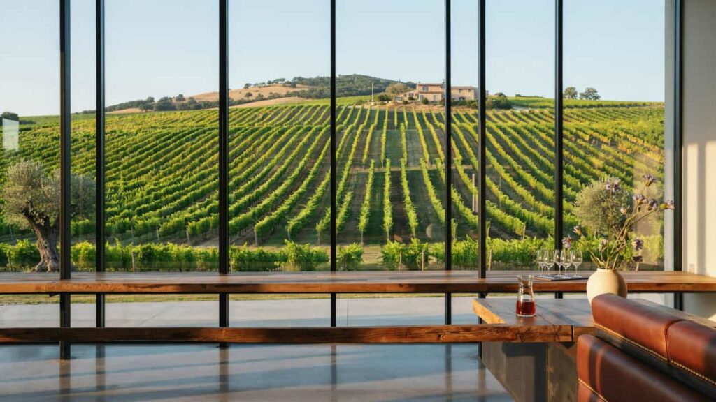 tasting room windows overlooking the vineyards