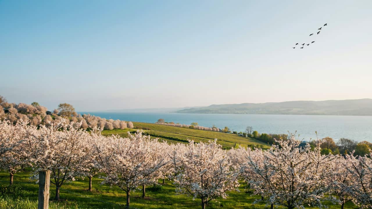 traverse city michigan destination